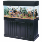 Milwaukee Aquatics has 75 gallon All-Glass stand in stock and on sale for $185.