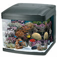 We offer a large variety of freshwater, saltwater, and reptile pet supplies at Milwaukee Aquatics.
